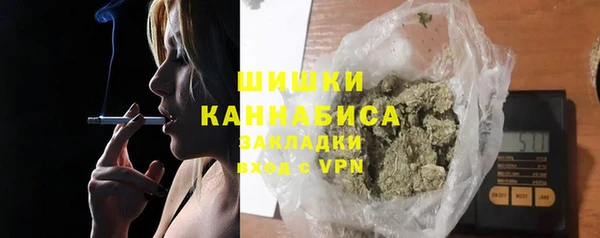 mdpv Богданович