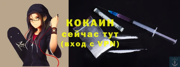 спиды Богородск