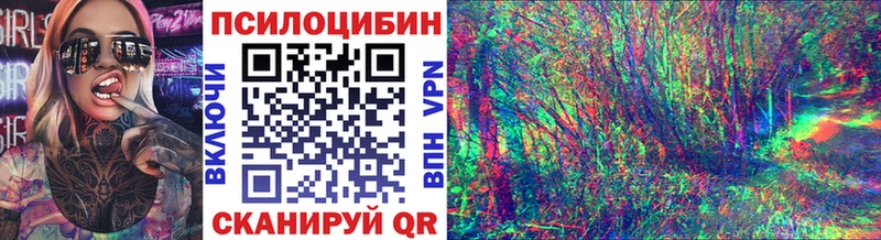 Псилоцибиновые грибы Psilocybe Славянск-на-Кубани